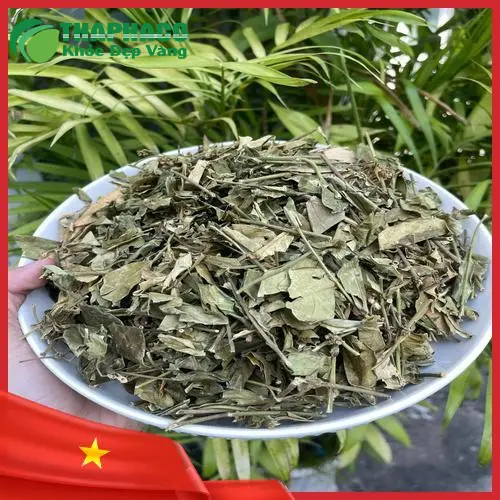 Dây Thìa Canh sấy khô Thảo Dược Tấn Phát mang lại lợi ích toàn diện cho sức khỏe.