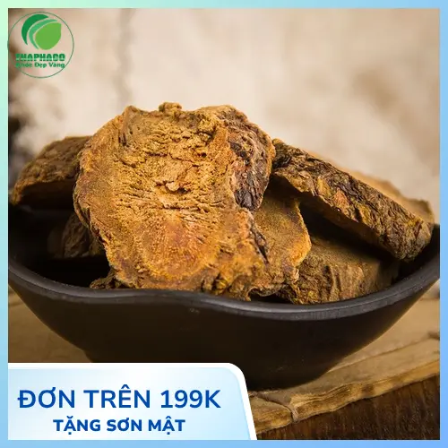 Cách sử dụng đại hoàng khô đúng cách cho người lớn tuổi