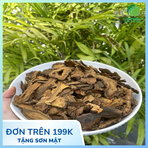 Sản phẩm đại hoàng sấy khô cao cấp của Thảo Dược Tấn Phát được đóng gói cẩn thận