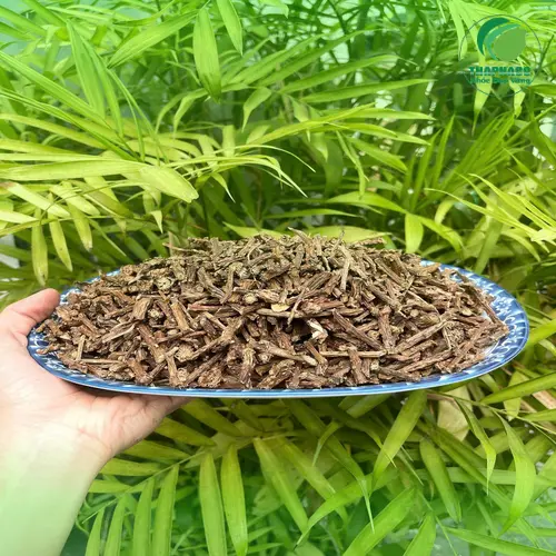 Giá 1kg dây thần thông và ưu đãi tại Tấn Phát