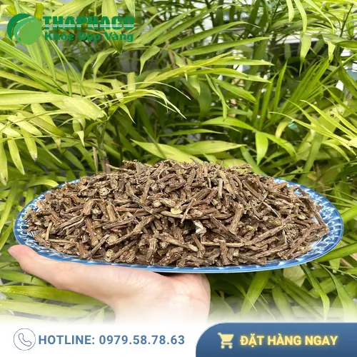 Thảo Dược Tấn Phát - Đơn vị cung cấp thảo dược khô uy tín tại TP.HCM