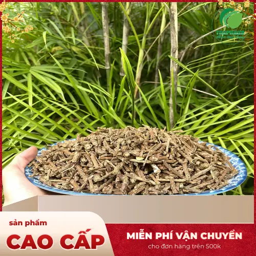 Sản phẩm dây thần thông đóng gói chuẩn tại Thảo Dược Tấn Phát