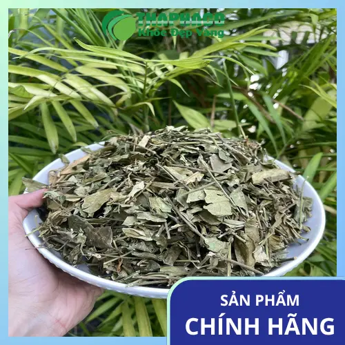 Dây thìa canh khô chất lượng cao từ Thảo Dược Tấn Phát