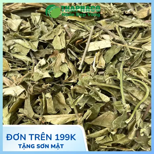 Dây Thìa Canh khô của Thảo Dược Tấn Phát đảm bảo chất lượng