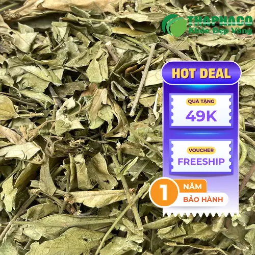 Dây thìa canh và lợi ích ổn định đường huyết