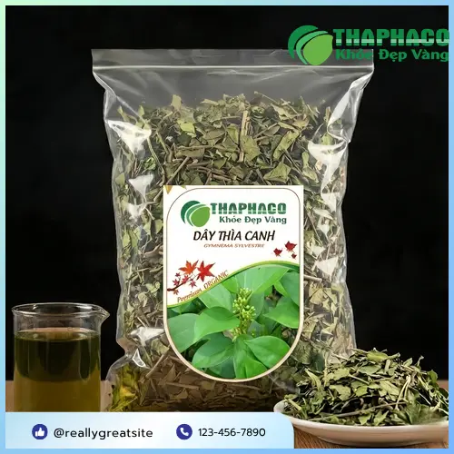 Cách pha trà Dây Thìa Canh đúng chuẩn