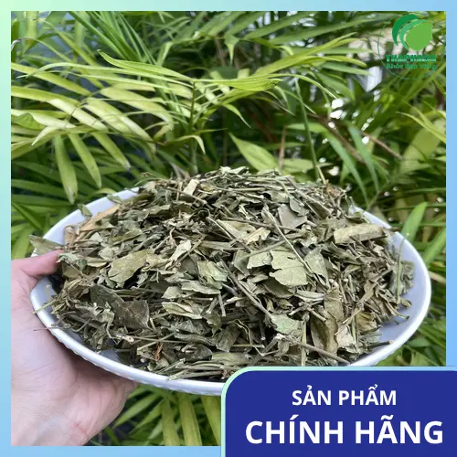 Lưu ý khi sử dụng trà dây thìa canh hàng ngày