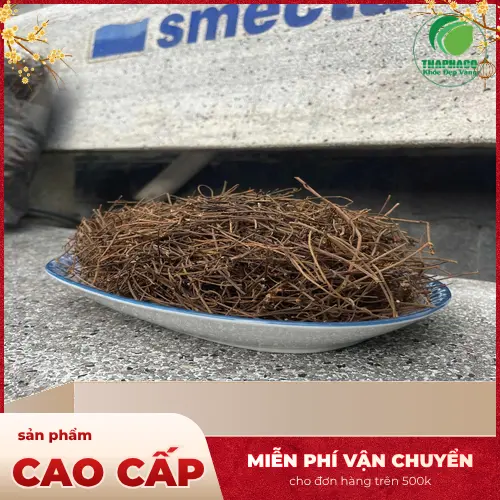 Công dụng đa dạng của dây tơ hồng trong y học cổ truyền