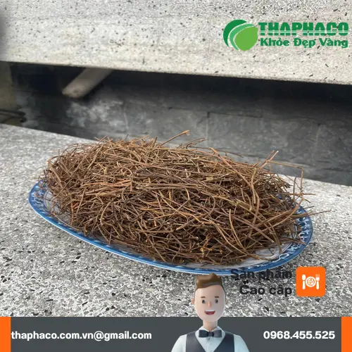 Phân tích chuyên sâu về các thành phần hoạt chất trong dây tơ hồng