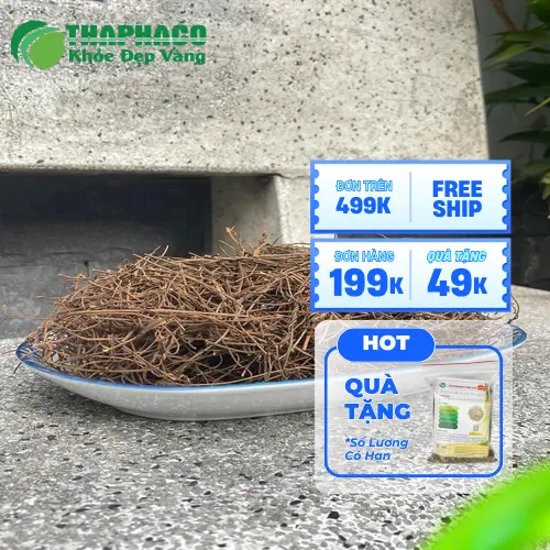 Dây tơ hồng và tác dụng cải thiện sinh lý