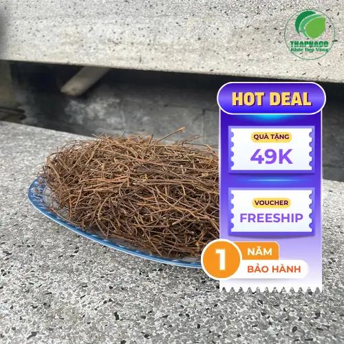 Thành phẩm dây tơ hồng khô sau khi sơ chế, sẵn sàng sử dụng