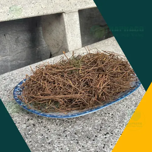 Cách sử dụng dây tơ hồng an toàn và hiệu quả