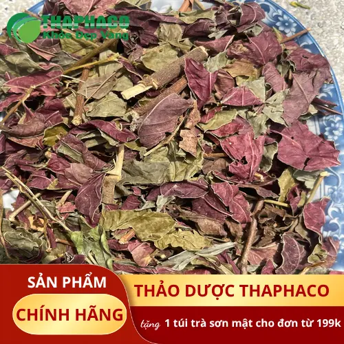 Lá đơn đỏ tươi và khô tại Thảo Dược Tấn Phát
