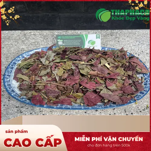 Lá đơn đỏ tươi chất lượng cao từ Thảo Dược Tấn Phát