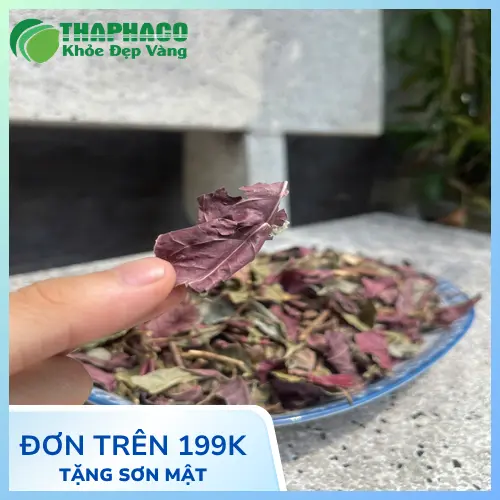 Túi 1kg lá đơn đỏ sấy khô tiện lợi từ Thảo Dược Tấn Phát