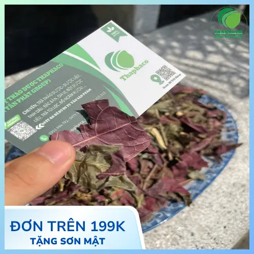 Chuyên gia dược liệu hướng dẫn cách sắc lá đơn đỏ