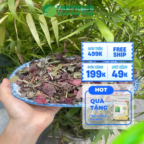 Hướng dẫn cách pha nước lá đơn đỏ đúng chuẩn