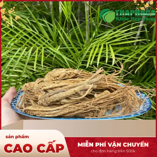 Hình ảnh rễ Đương quy tươi và khô, chuẩn bị chế biến