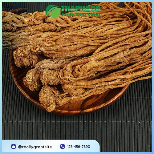 Hình ảnh đương quy khô chất lượng cao tại Thảo Dược Tấn Phát