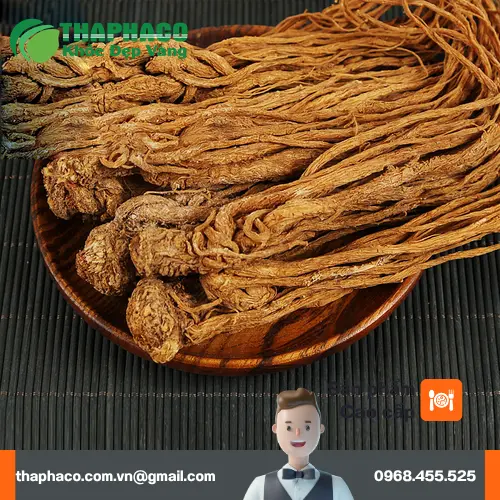 Hình ảnh một người đang chọn lọc các lát Đương quy khô chất lượng