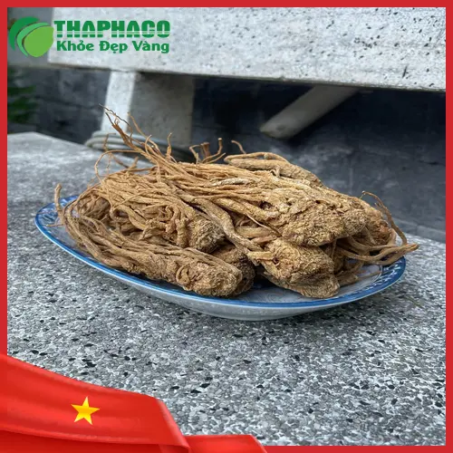 Dược sĩ tư vấn cách chọn đương quy sấy khô và sử dụng an toàn