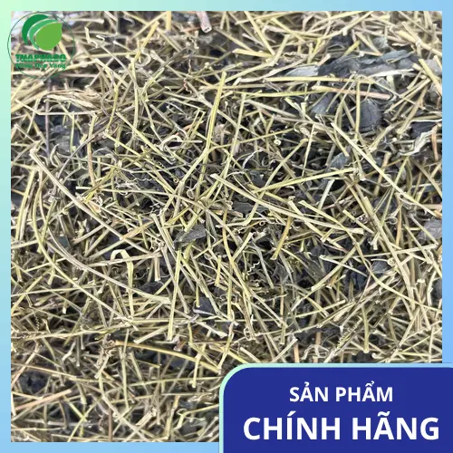 Giảo cổ lam khô chất lượng cao từ Thảo Dược Tấn Phát