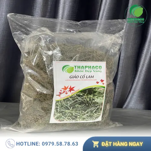 Lợi ích của giảo cổ lam trong hỗ trợ sức khỏe gan