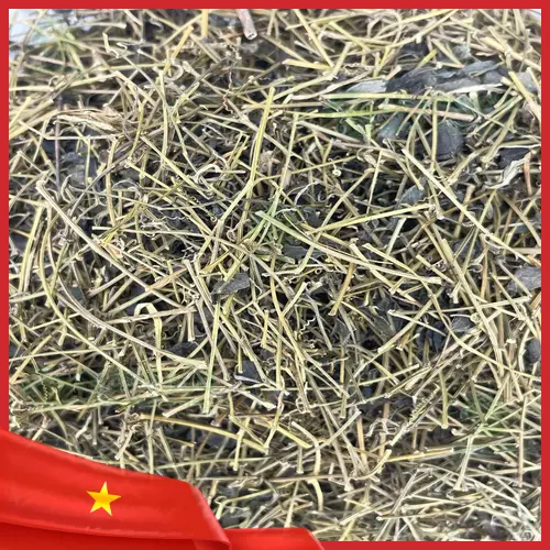 Hình ảnh Giảo Cổ Lam sấy khô thành phẩm của Thảo Dược Tấn Phát, đảm bảo chất lượng