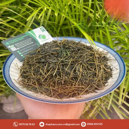 Lưu ý khi sử dụng giảo cổ lam cho người bệnh gan