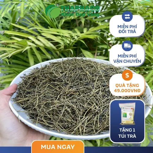 Hình ảnh đóng gói Giảo Cổ Lam tại Thảo Dược Tấn Phát, đảm bảo vệ sinh và giữ chất lượng