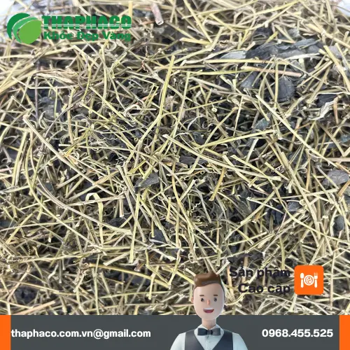 Giảo Cổ Lam khô thành phẩm chất lượng cao, sạch sẽ
