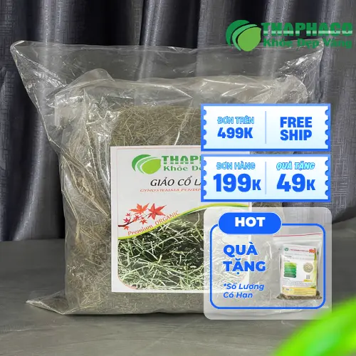 Sản phẩm giảo cổ lam sấy khô của Thảo Dược Tấn Phát