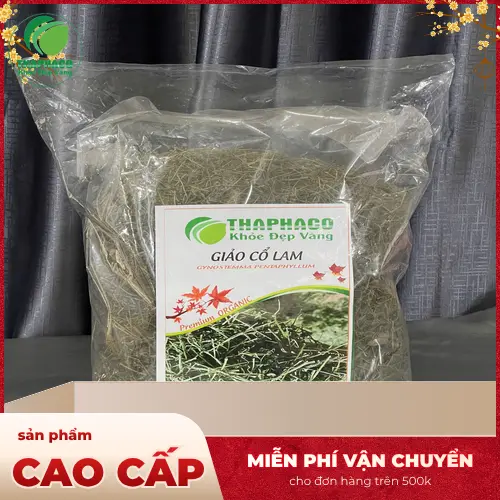 Giảo Cổ Lam đóng gói theo tiêu chuẩn Thảo Dược Tấn Phát