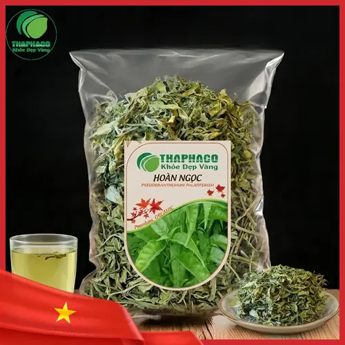 Hình ảnh cây hoàn ngọc tươi và khô tại Thảo Dược Tấn Phát
