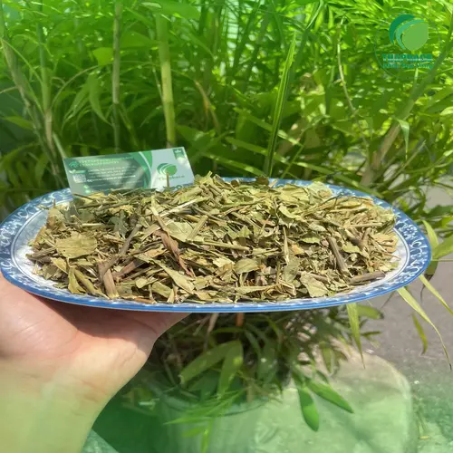 Hoàn ngọc khô chất lượng tại Thảo Dược Tấn Phát