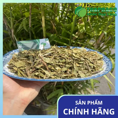 Lá Hoàn Ngọc Sấy Khô Thảo Dược Tấn Phát