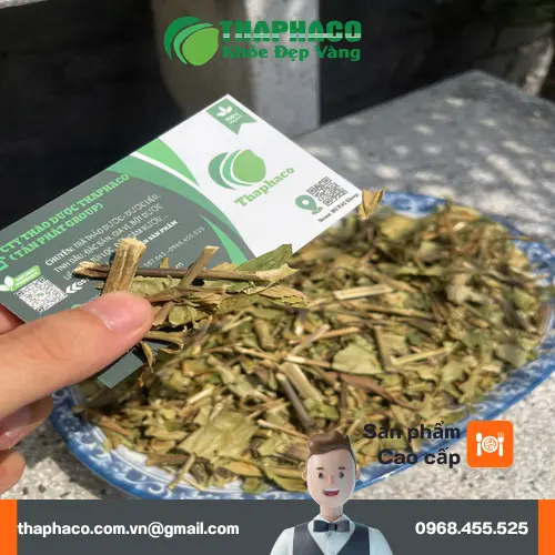 Kết quả giảm cân sau 3 tuần sử dụng hoàn ngọc