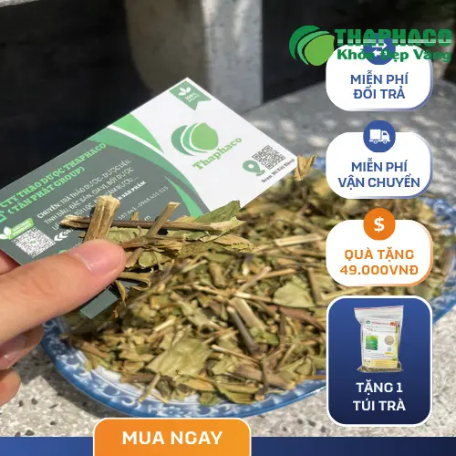 Cách bảo quản hoàn ngọc khô hiệu quả