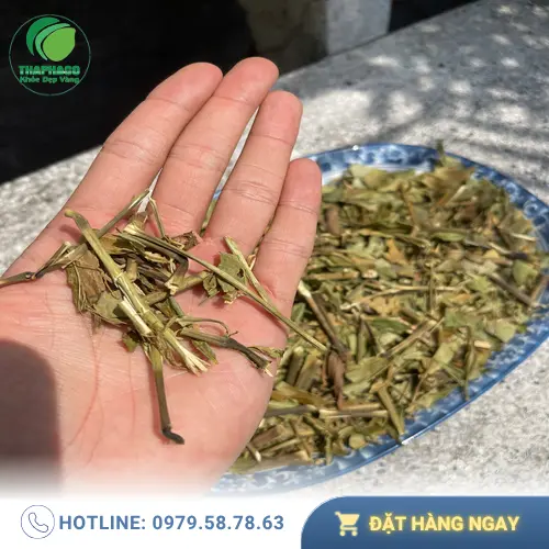Hoàn Ngọc Sấy Khô Đóng Gói Cẩn Thận