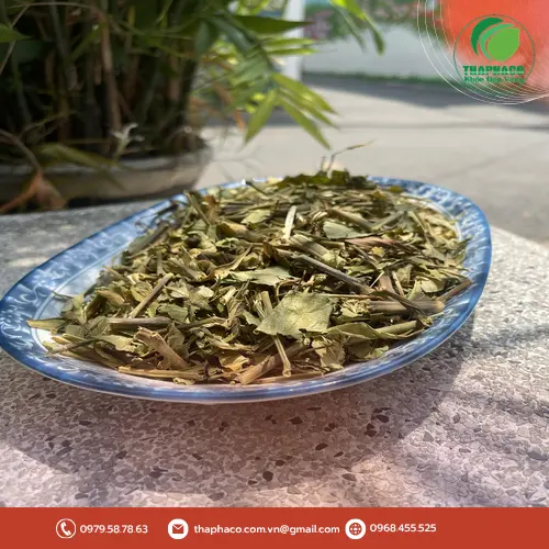 Dược sĩ tư vấn về cách sử dụng hoàn ngọc hiệu quả