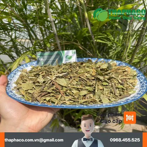 Sản phẩm hoàn ngọc sấy khô chất lượng cao của Thảo Dược Tấn Phát