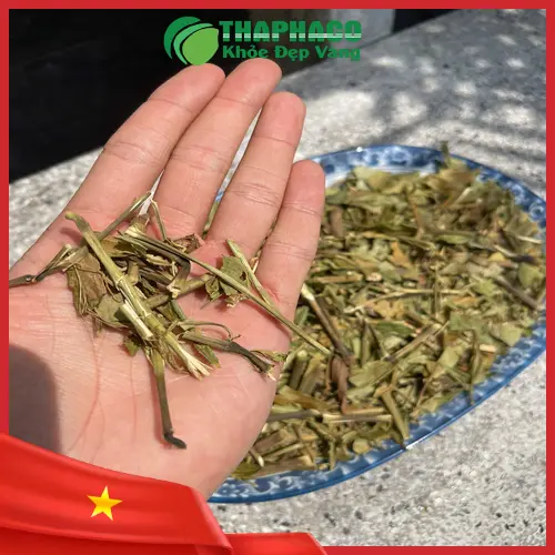 Hoàn ngọc khô Thảo Dược Tấn Phát hàng sạch