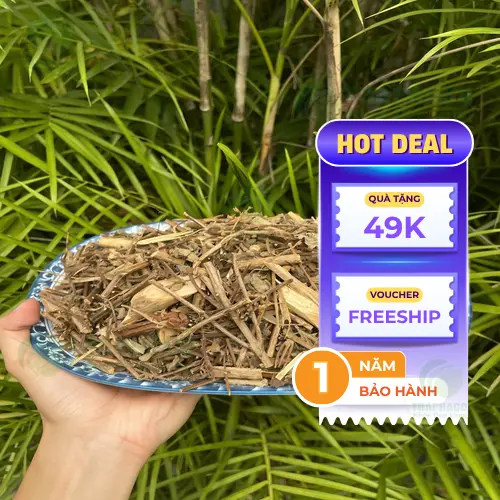 Hương nhu khô nguyên chất từ Thảo Dược Tấn Phát
