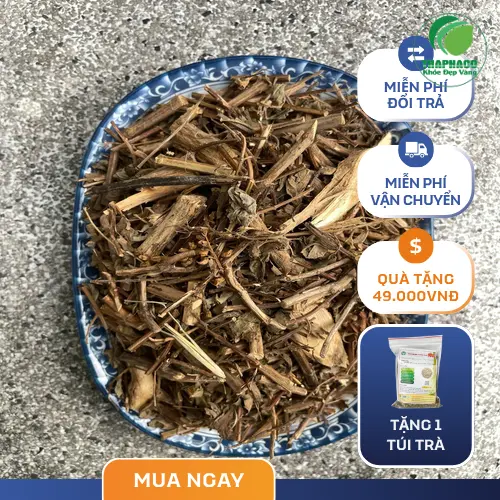 Chuyên gia dược liệu tại Thảo Dược Tấn Phát chia sẻ về công dụng của hương nhu khô