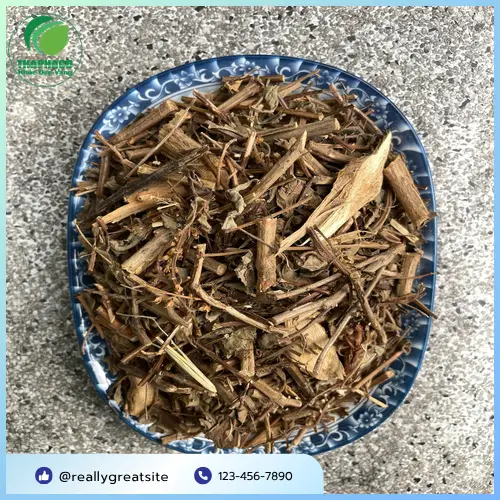 Hương Nhu khô nguyên cành, chuẩn bị cho quá trình kiểm định chất lượng.