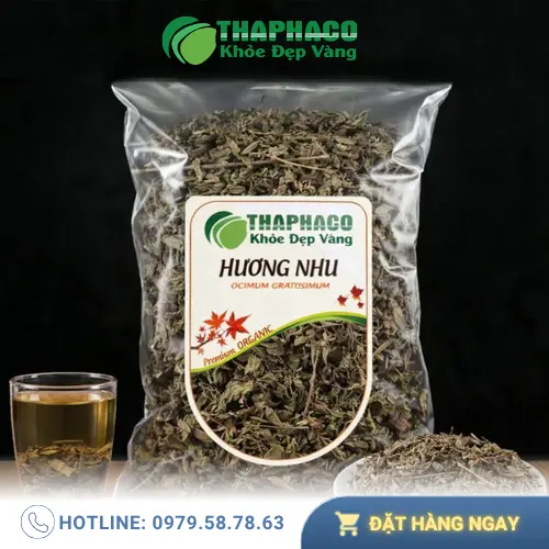 Lợi ích sức khỏe từ hương nhu sấy khô