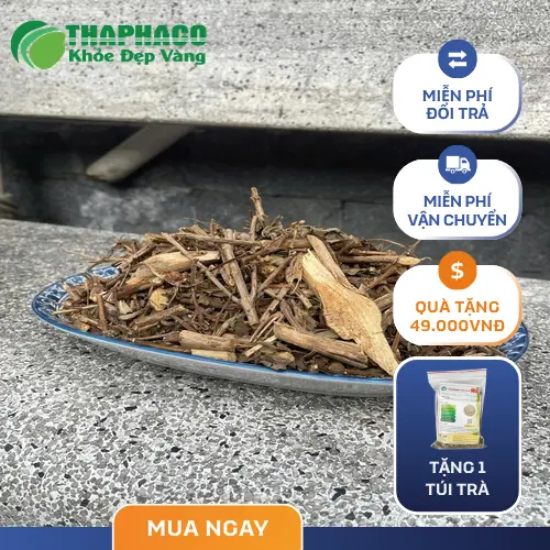 Hương Nhu Khô Sấy Khô Đạt Chuẩn - Ảnh 2