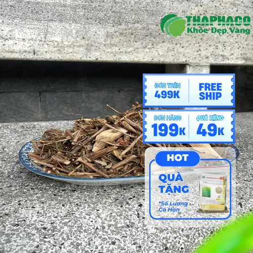 Thảo Dược Tấn Phát - Địa chỉ mua hương nhu uy tín tại TP.HCM