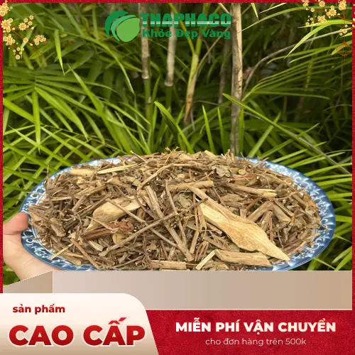 Bảo quản hương nhu sấy khô đúng cách để giữ được chất lượng