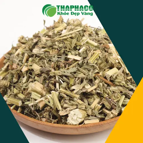 Chuyên gia dược liệu THAPHACO giải đáp ích mẫu sấy khô